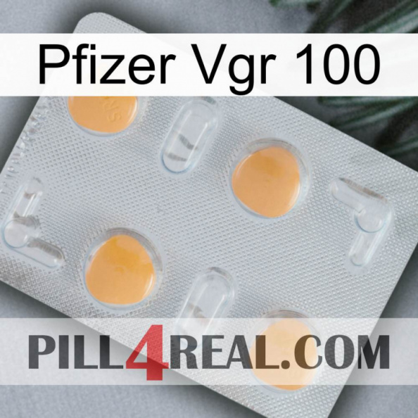 Pfizer Vgr 100 24